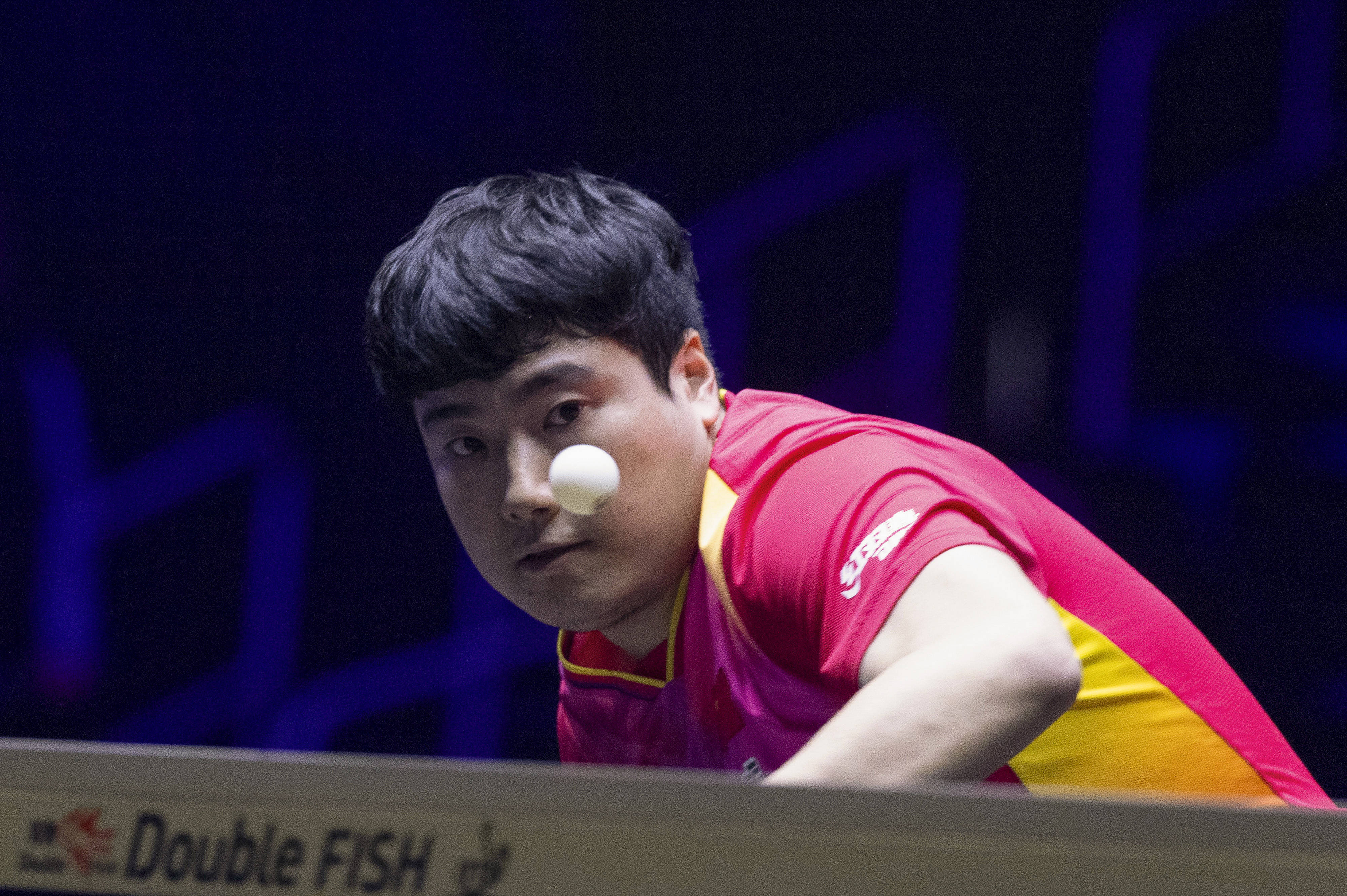 包含葡萄牙队绝杀奥地利队，梁靖崑刷新纪录的词条