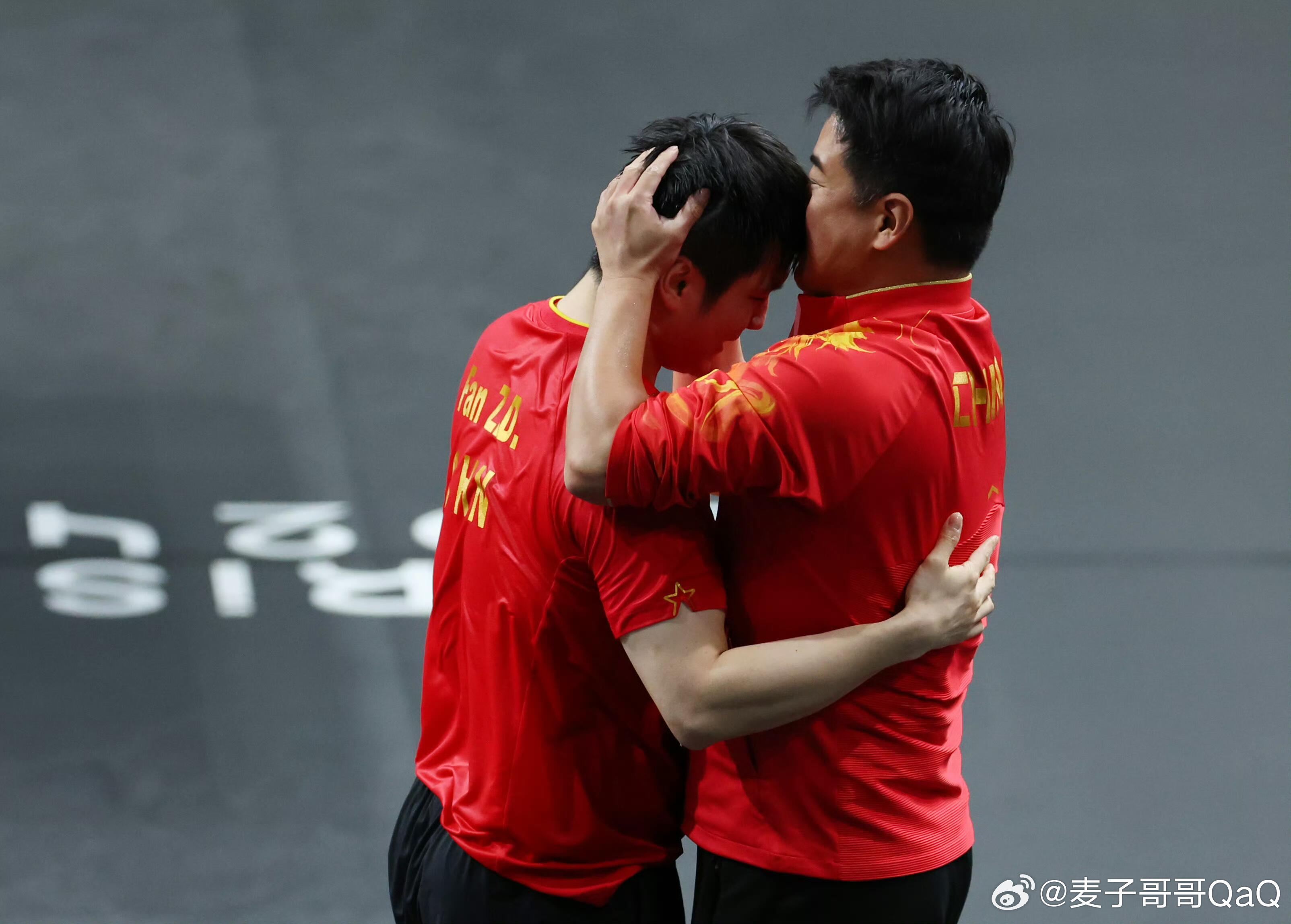 日本队碾压法国队，樊振东关键制胜的简单介绍